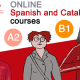 Spanish level test free